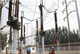 国电承德热电220KV防腐，防污闪施工展示